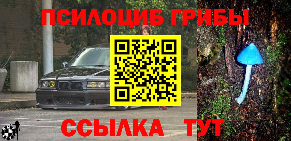 Псилоцибиновые грибы GOLDEN TEACHER  Вход с VPN  Вятские Поляны 